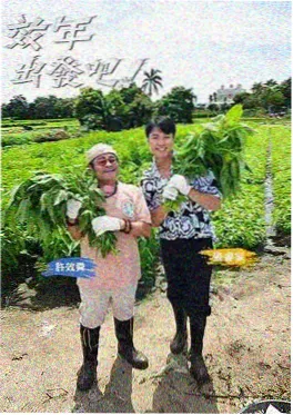 舞动奇迹